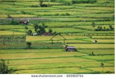 Bahria Town Karachi Bahria Paradise Plot For Sale