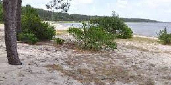 Residential Plot Is Available For Sale