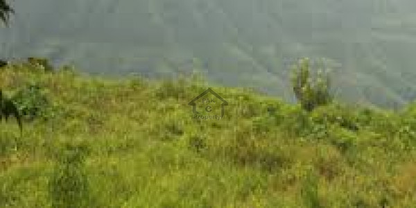 Residential Plot Is Available For Sale