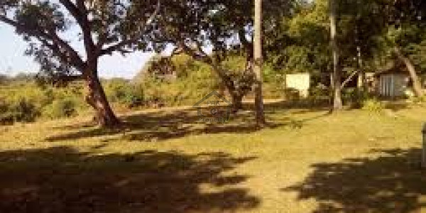 Residential Corner Plot Is Available For Sale