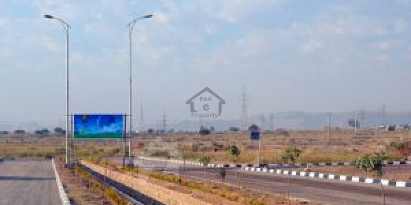 Golden Commercial 8 Kanal Plot For Sale