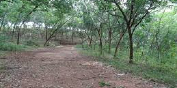 New Booking Bahria Paradise - Residential Plot For Sale