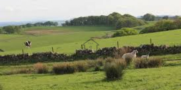 Residential Plot Available For Sale