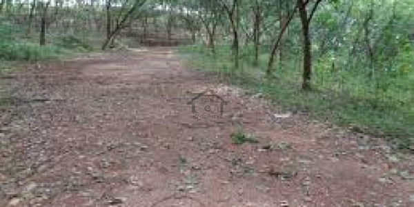 Residential Plot Is Available For Sale