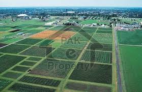 Bahria Rwp Phase3 10m (30*75) plot available