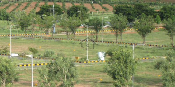 Proper Aria Plot Along With University Road Very Reasonable Price