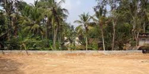 Ideal Location Farm House Plot For Sale In Agro Farming Scheme