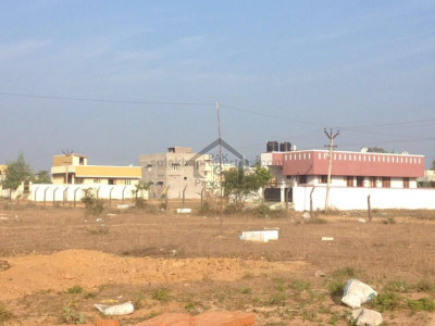 State Life Society File Available Developments Start Soon