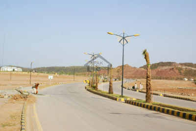 Commercial Plot is Available For Sale