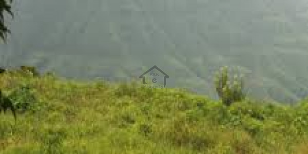 10 Marla Corner Plot For Sale