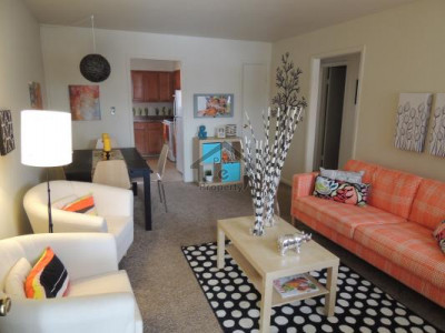 Fully Furnished 1 Bedroom Apartment For Rent In The Centaurus Mall At US 1200 $