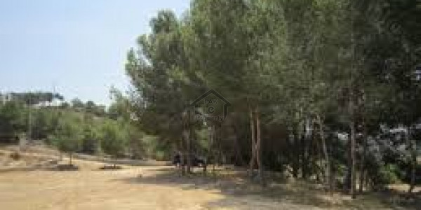 Residential Plot Is Available For Sale