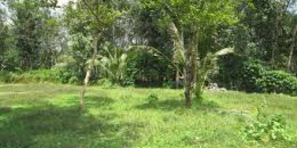 Residential Plot Is Available For Sale