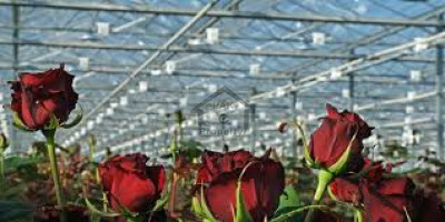 Farm House Land For Sale In Islamabad