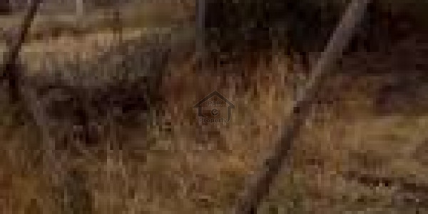 C Block 40 Feet Road Corner Available At Best Price