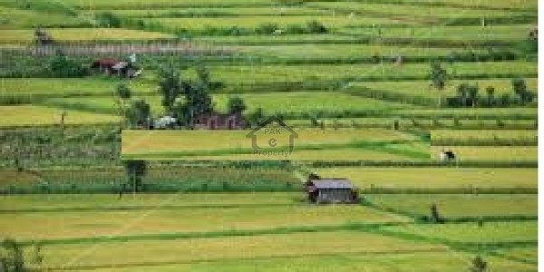 Paragon City New Booking Orchard Block Booking Last Date 10 April