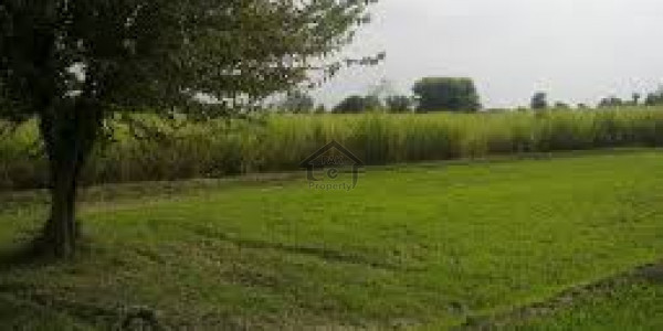 Plot At Ministry Of Commerce Employee Housing Society