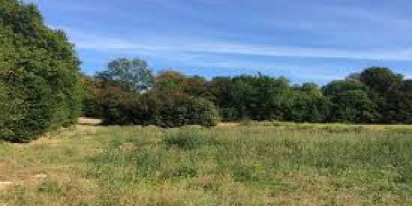 Residential Plot Is Available For Sale