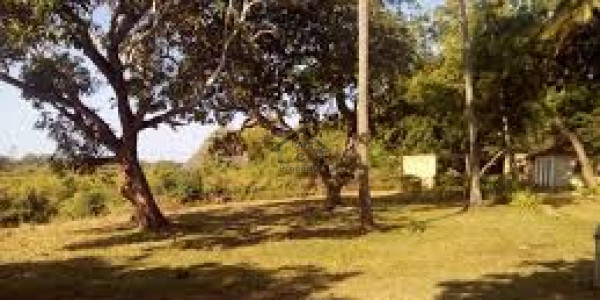 Chance Deal - Residential Plot For Sale In Bahria Sports City