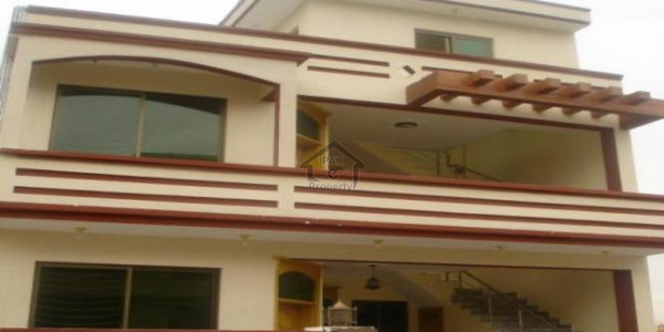 Brand New Portion For Sale