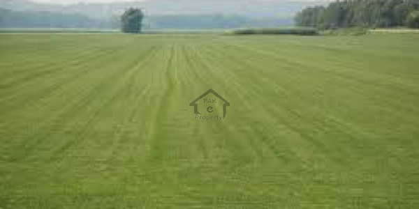 Residential Plot For Sale