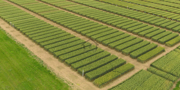 Residential Plot Is Available For Sale