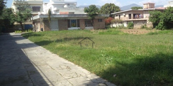 Farm House Available For Sale