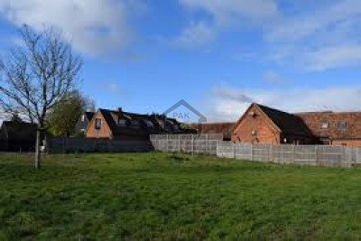 Single Storey House Is Available For Sale