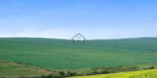 Plot Available For Sale In M Block