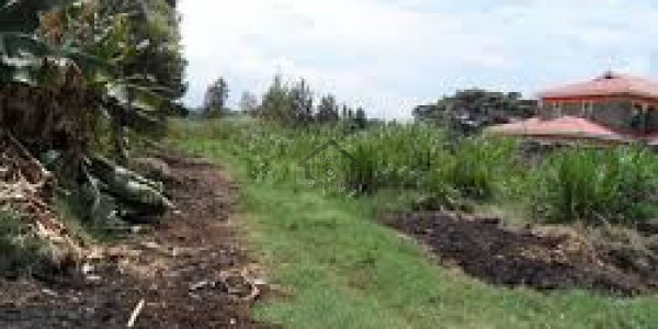 Commercial Plot Is Available For Sale
