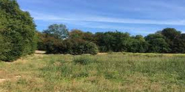 Residential Plot Available For Sale