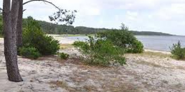 Park View Villas-5 Marla Plot In Gold Block For Sale