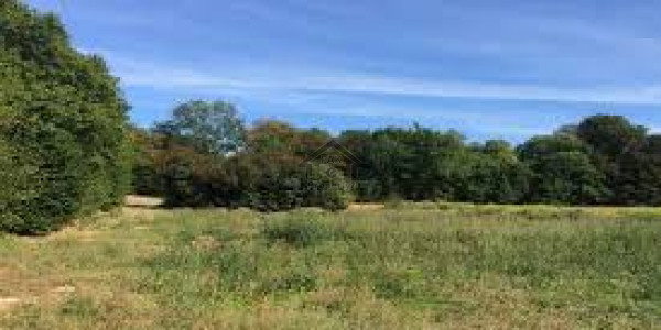 4 Marla Commercial Plot In Al-Rahmat Project For Sale