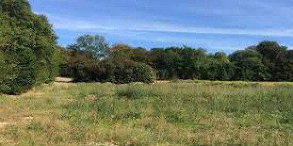 OPF Housing Scheme1 Kanal Plot For Sale