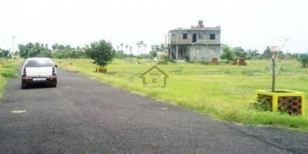 Paragon City- 5 Marla Plot Wood Block 54 Lac