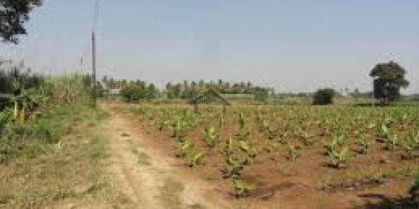 Mouza Ziarat Machhi Gharbi - 4 Acres Open Land Available For Sale IN GWADAR