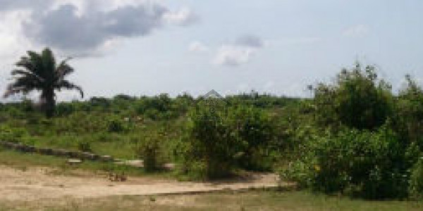 Mouza Washin Door - Land For Sale IN  Gwadar