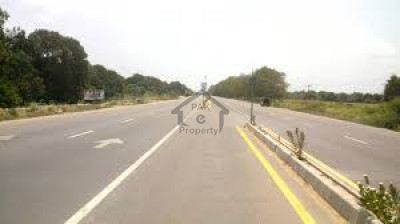 Bedian Road - 78 Marla 3 Side Open Plot  FOR SALE IN LAHORE