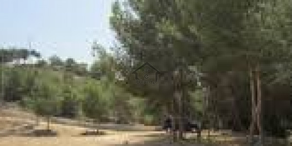 Paragon City -10 Marla Residential Plot Is Available For Sale