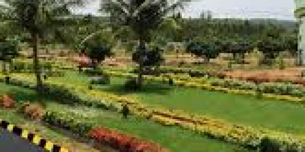 Paragon City - 5 Marla Residential Plot Is Available For Sale