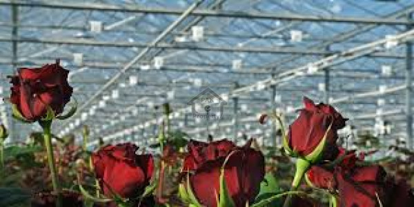 Bedian Road - 2 Acres Farm House Is Available For Sale IN LAHORE