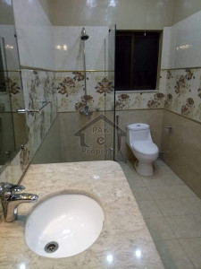 Luxury  House Available in F-7