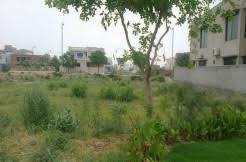 DHA Phase 6 - Block C - Plot No 519 Block C IN LAHORE