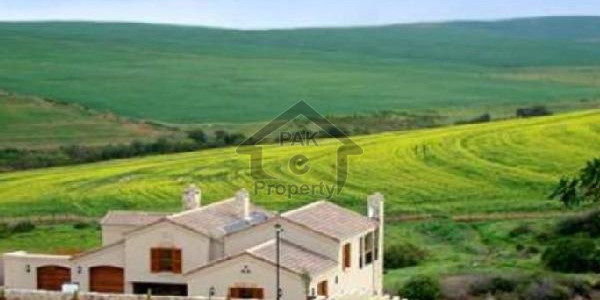 B-17 Block C 35x70 Size Plot Available For Sale Reasonable Price