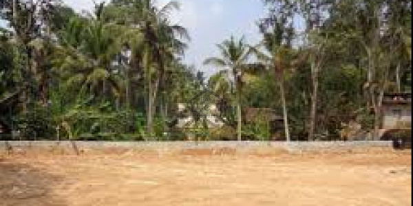 Zaitoon - 5 Marla Plot 99 Block C For Sale