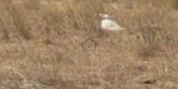 LDA Avenue - 10 Marla Residential Plot Is Available For Sale