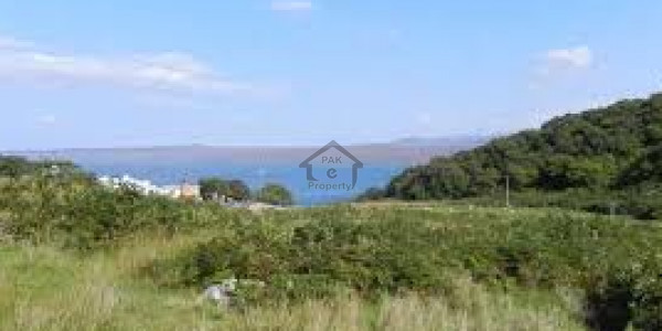 Zaitoon - 5 Marla Plot For Sale