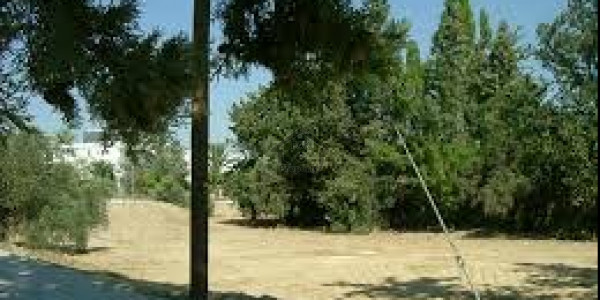 Wapda City - Block D- 15 Marla Residential Plot Is Available For Sale