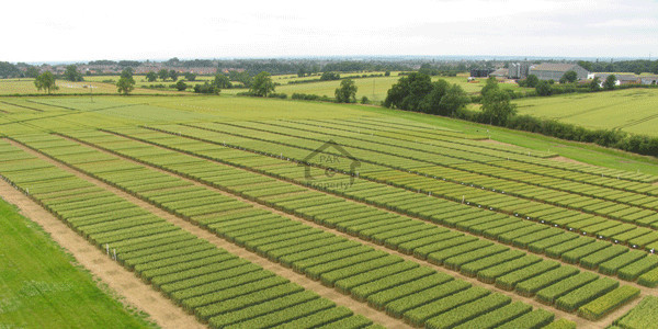 DHA Phase 7 - Block X-1 Kanal Residential Plot No. 252 For Sale