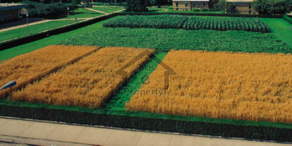 Invest Today Earn Tomorrow - Book One Kanal Plot File In Gwadar